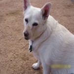 Sandy – aka Olga Sandy – aka Olga