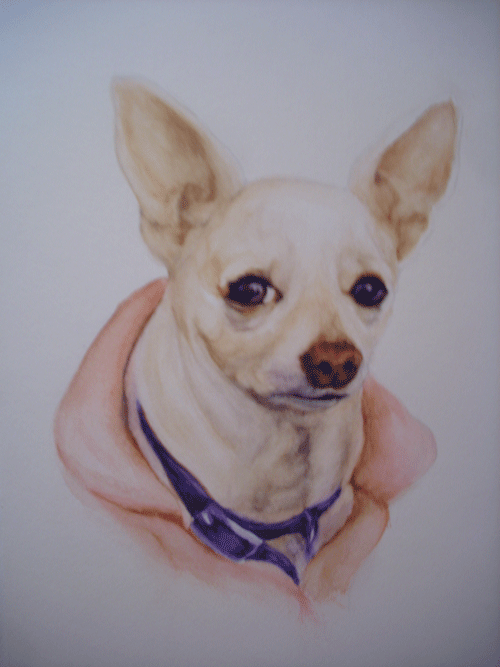 Baby-portrait