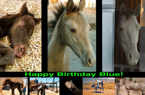 Blue-turns-20