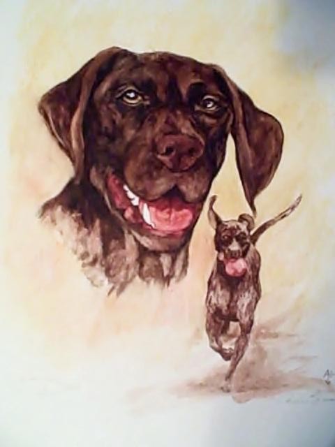 Desi portrait