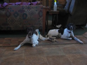 "Twin? Mirror? Almost! That's Hendrix on the left, and Clovis on the right."