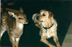 Molly & Zack