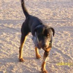 Milo – Learning to love again