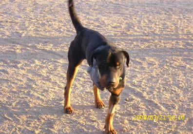 Milo – Learning to love again