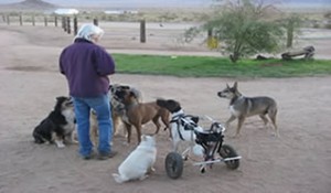 Annie and the Gang