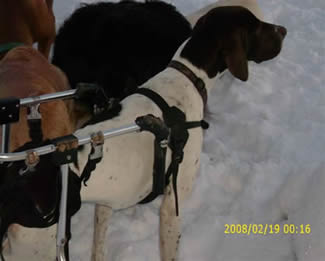 Rudolph Sleigh Man