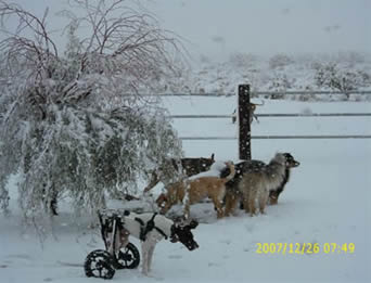 Snow Day
