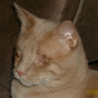 radarpic_3