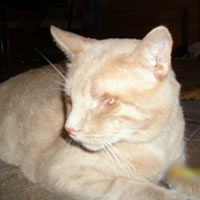 radarpic_4
