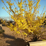 ranchpic_2