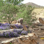 ranchpic_4