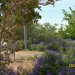 ranchpic_6