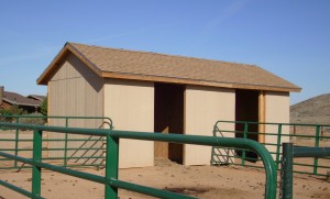 Sienna house3