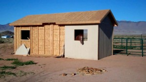 Sienna's shelter