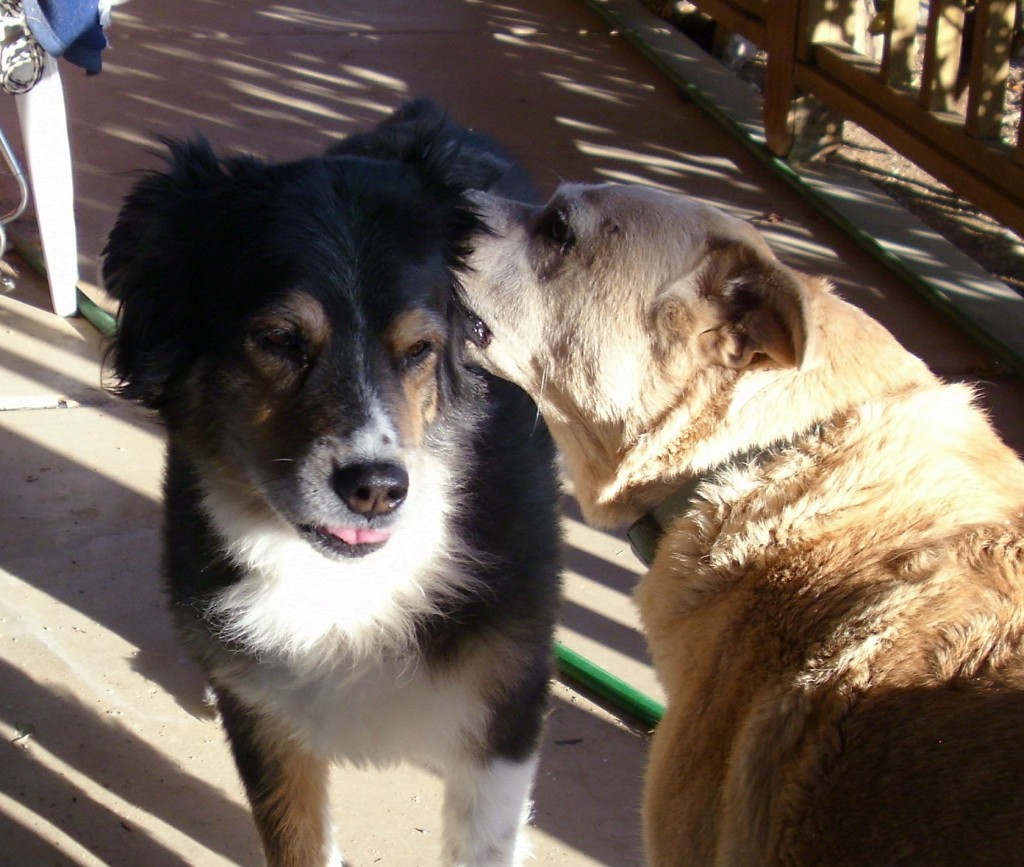 Molly & Rose1