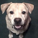 Molly