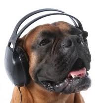 Music for Pets