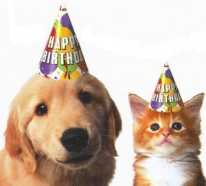 pet_birthday