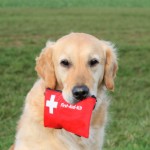 pet_preparedness