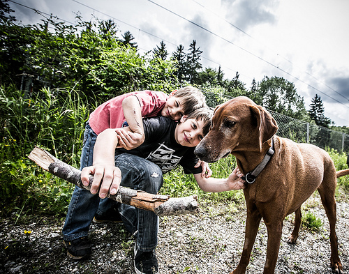 National Kids and Pets Day