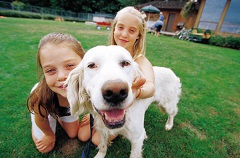 http://cachevalleyfamilymagazine.com/family-dog-secret-health-happiness/