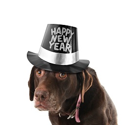 http://celiasue.com/2011/12/31/pet-parents-new-years-resolutions/