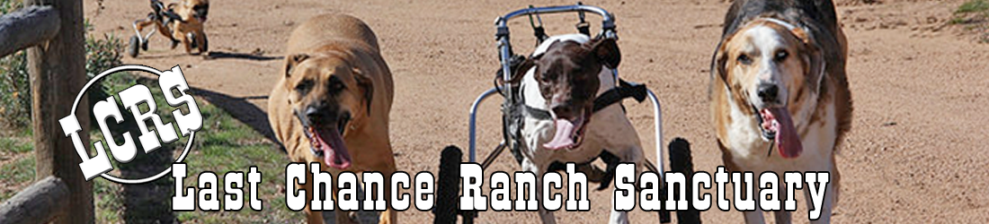 Last Chance Ranch Sanctuary